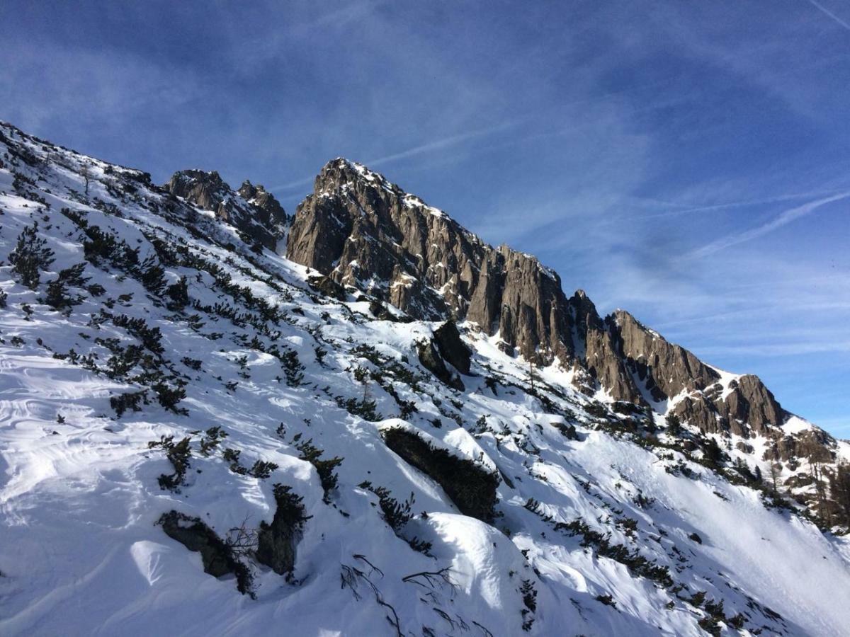 La Finestra Sulle Dolomiti - The Window To The Dolomites Apartment Фиера ди Примиеро Екстериор снимка